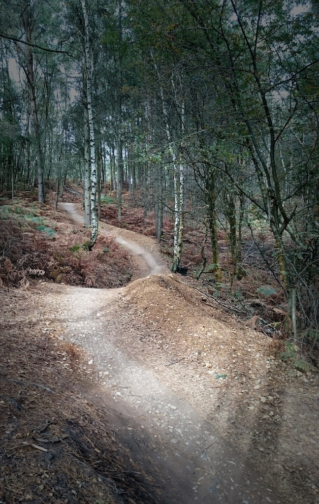 Swinley Red Trail, part of the section no.15 with the highest fun factor.