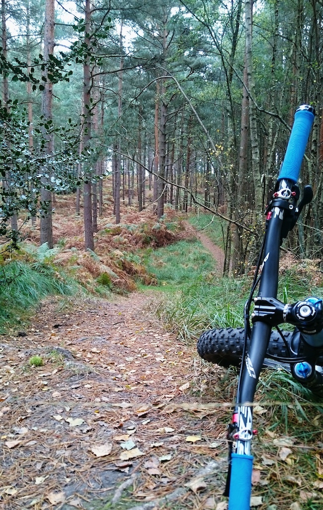 Weather is holding well this time of year with great trails condition at Swinley Forest.
