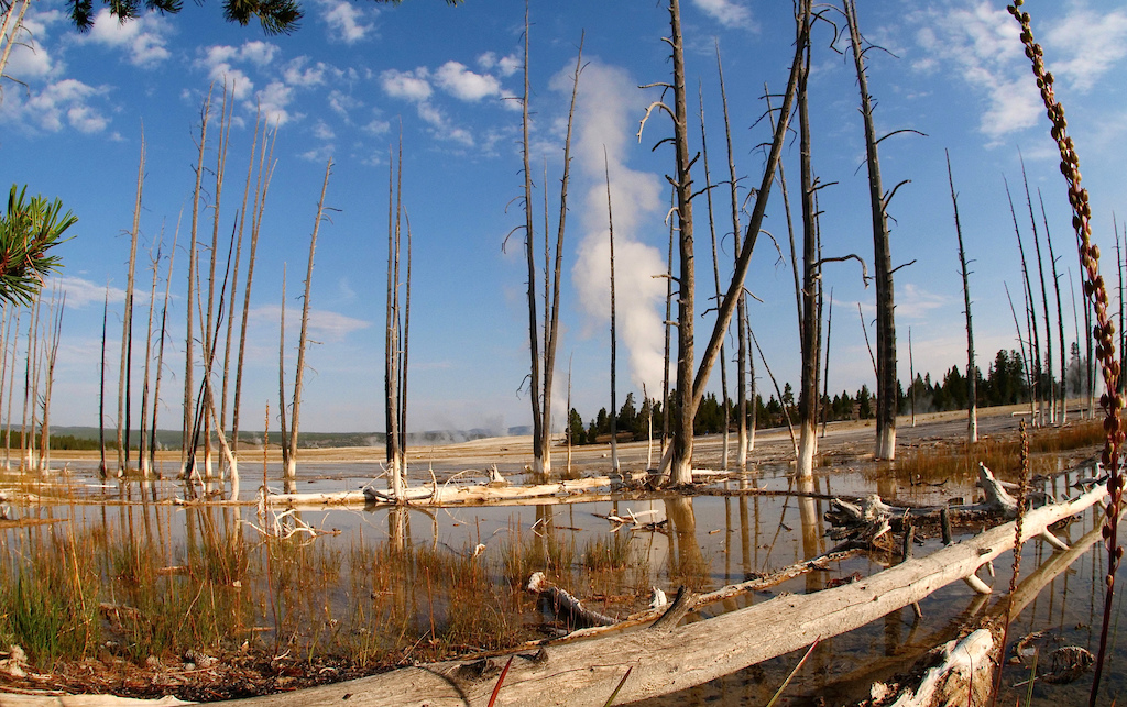 Yellowstone geysers