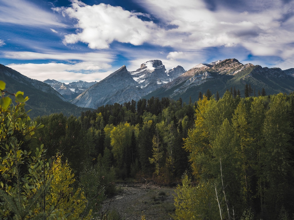 The views from the Montane trails are second to none. This photograph shows Coal Creek, with the Three Sisters and Mount Proctor in the distance. With snow on the peaks, it not unusual to see multiple seasons on display in Fernie on any given day. Fall colours can easily mix with lower elevation snow.