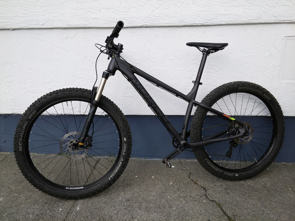 norco torrent nz