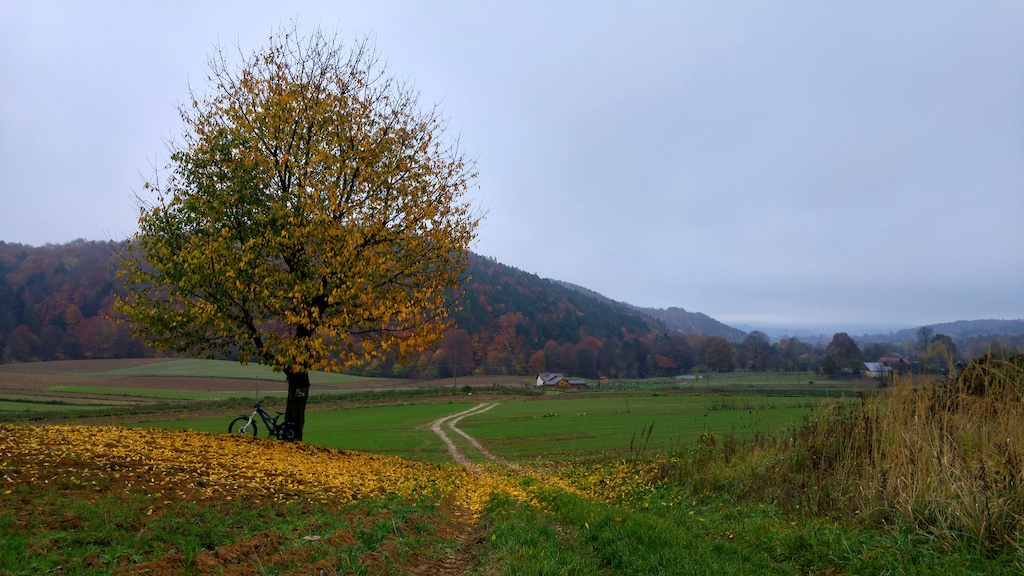 autumn in Roztocze