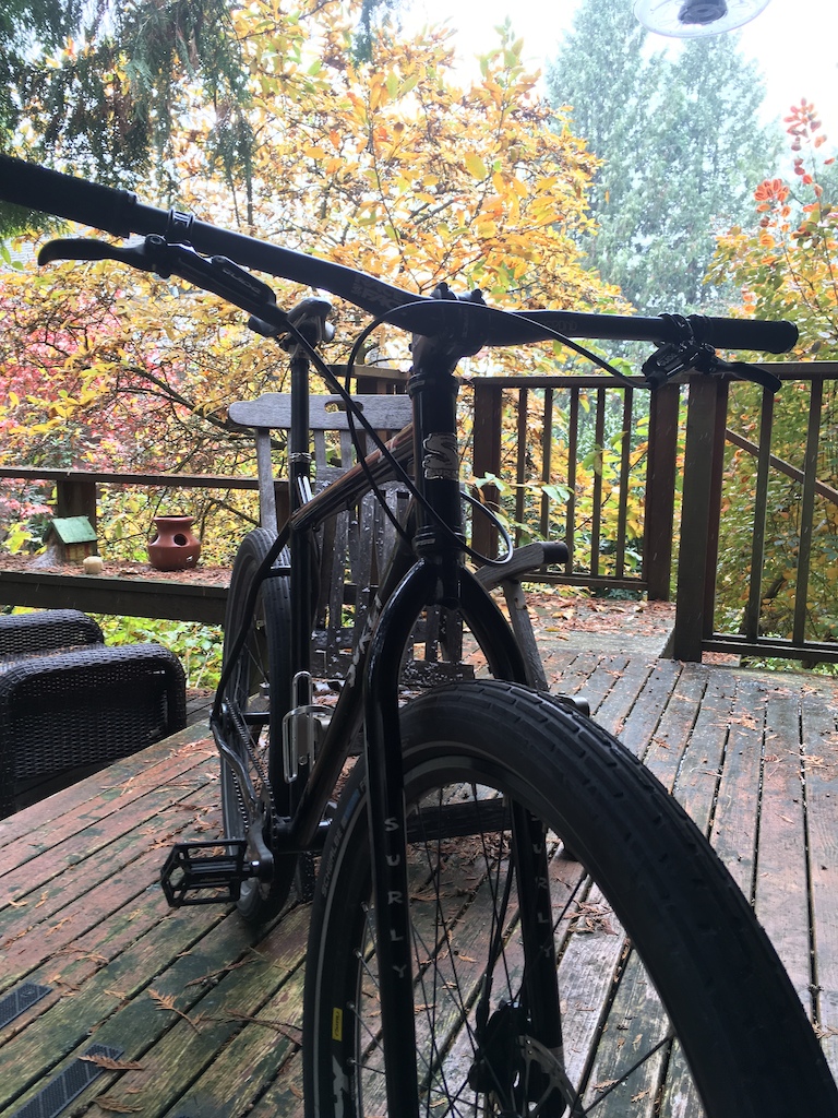 2016 SURLY 1x1 Custom Build
