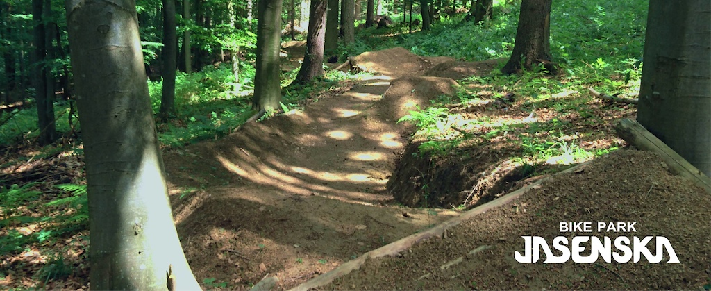 Transfer to berm to another hip to stepdown