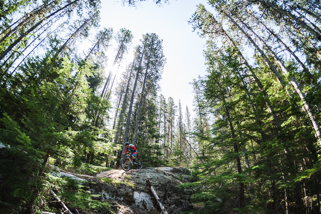 Terrace delivers the goods, dark cool forests punctuated by pump-track rock slabs. Darren Butler (Endless Biking) lead guide for BC Bike Ride North getting his flow on Down Tube, Terrace Mountain.
.
.
.
@db_at_eb @travelnorthernbc @BCBikeRide @endlessbiking @visitterrace @whitegoatcoffee
#BCBRnorth #explorebc #mtbBC #RockyMountainBicycles #RedTruckBeer #travelnorthernbc #goodtimesonbikes #BCBR