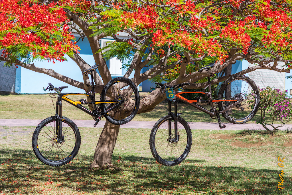 MEGAVALANCHE Reunion Island