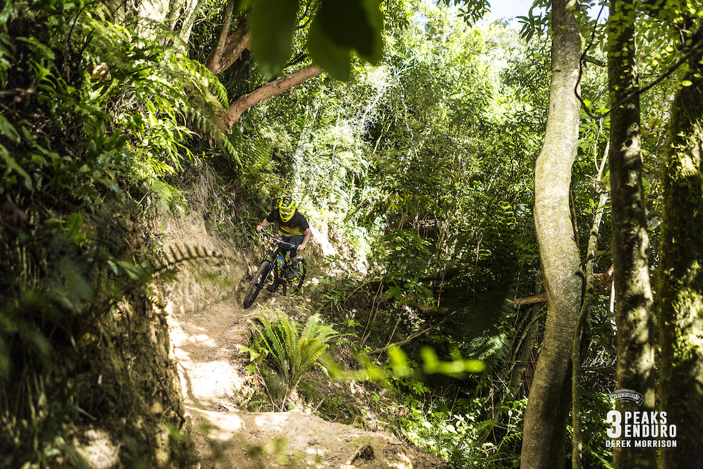 Keegan Wright, of Rotorua, on his way to winning stage 1 on the Peppertree Track during Day 1 of racing in the sixth edition of the Emerson's 3 Peaks Enduro mountain bike race held in the hills above Dunedin, New Zealand, at the weekend (December 02-03, 2017).