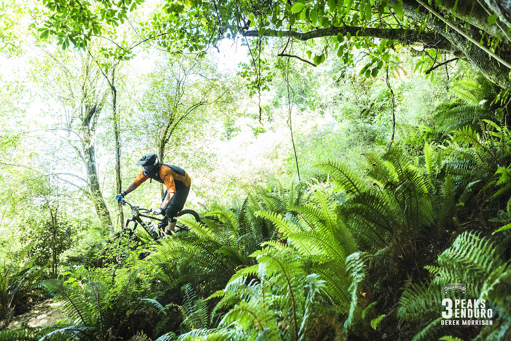 Daniel Wright in the fernery during Day 1 of racing in the sixth edition of the Emerson's 3 Peaks Enduro mountain bike race held in the hills above Dunedin, New Zealand, at the weekend (December 02-03, 2017).