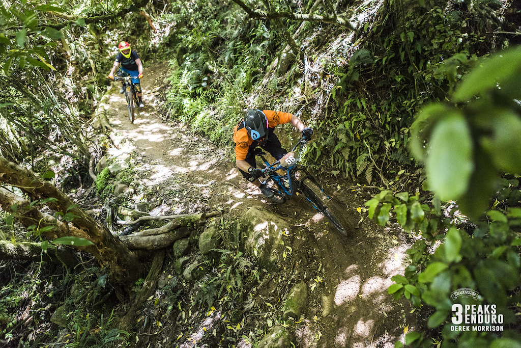 Alistair Davidson drops in during Day 1 of racing in the sixth edition of the Emerson's 3 Peaks Enduro mountain bike race held in the hills above Dunedin, New Zealand, at the weekend (December 02-03, 2017).