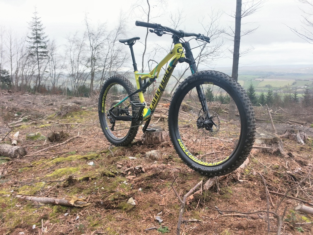 Cannondale Bad Habit Carbon 1