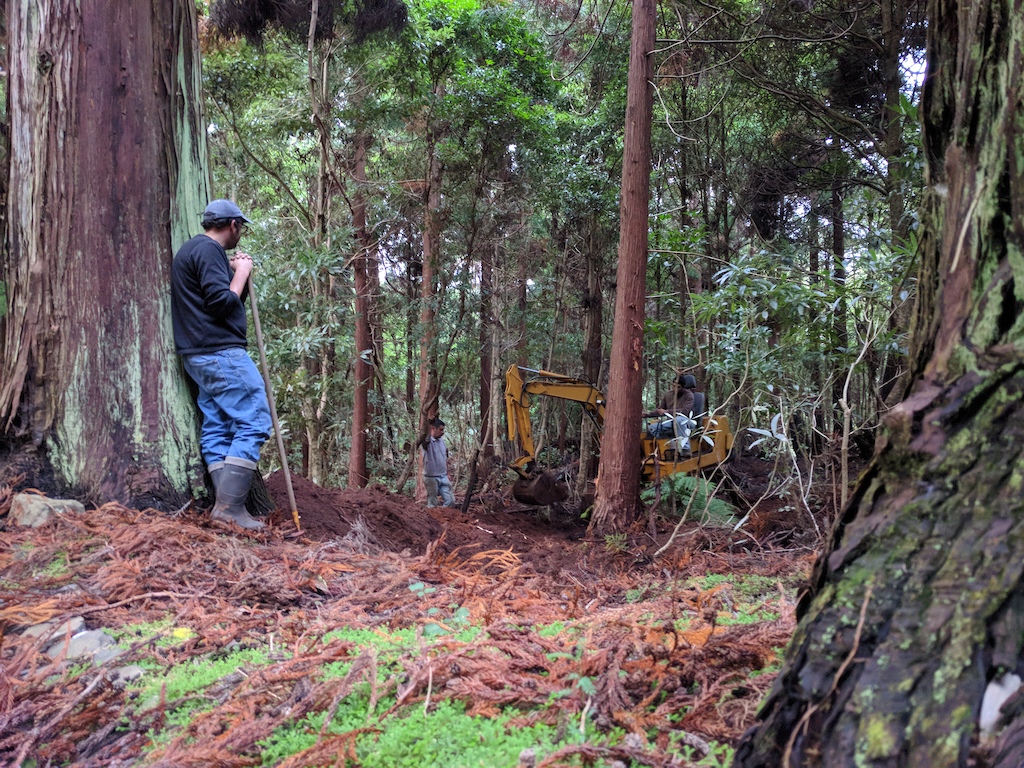Machine work on  the lower berms