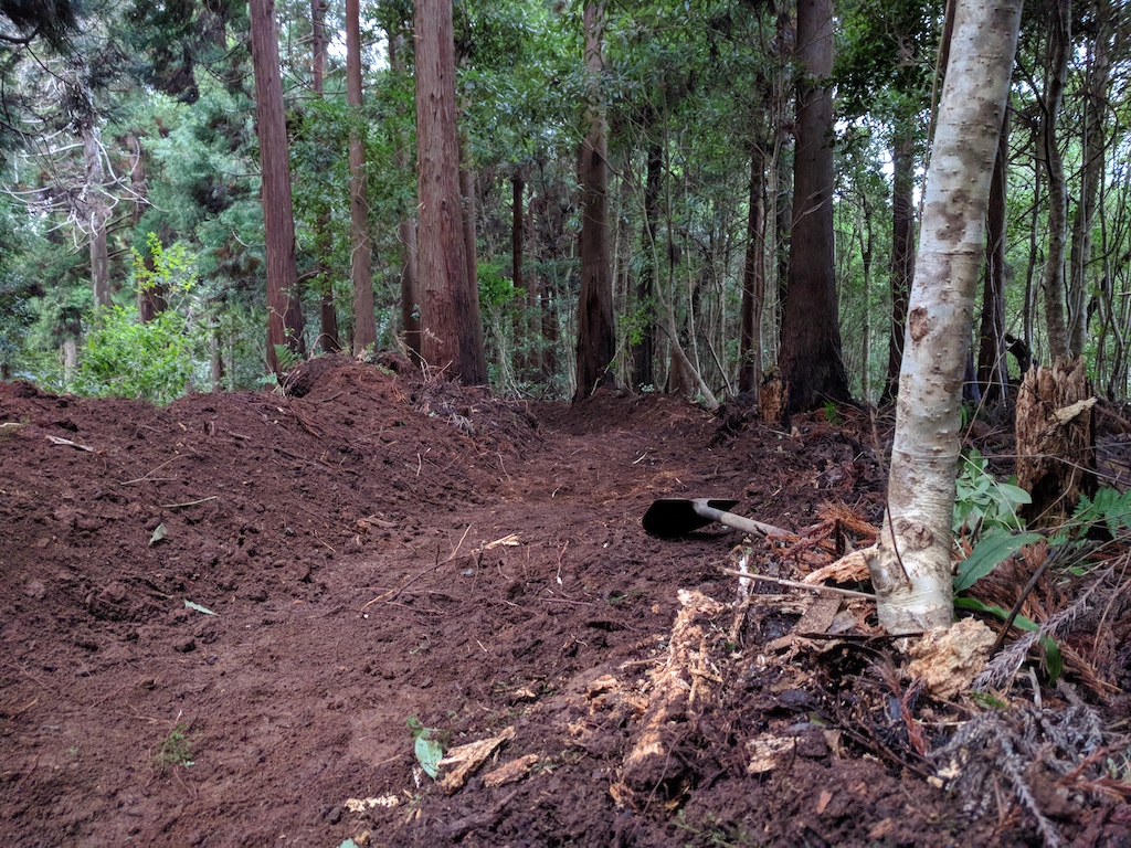 Machine work on  the lower berms