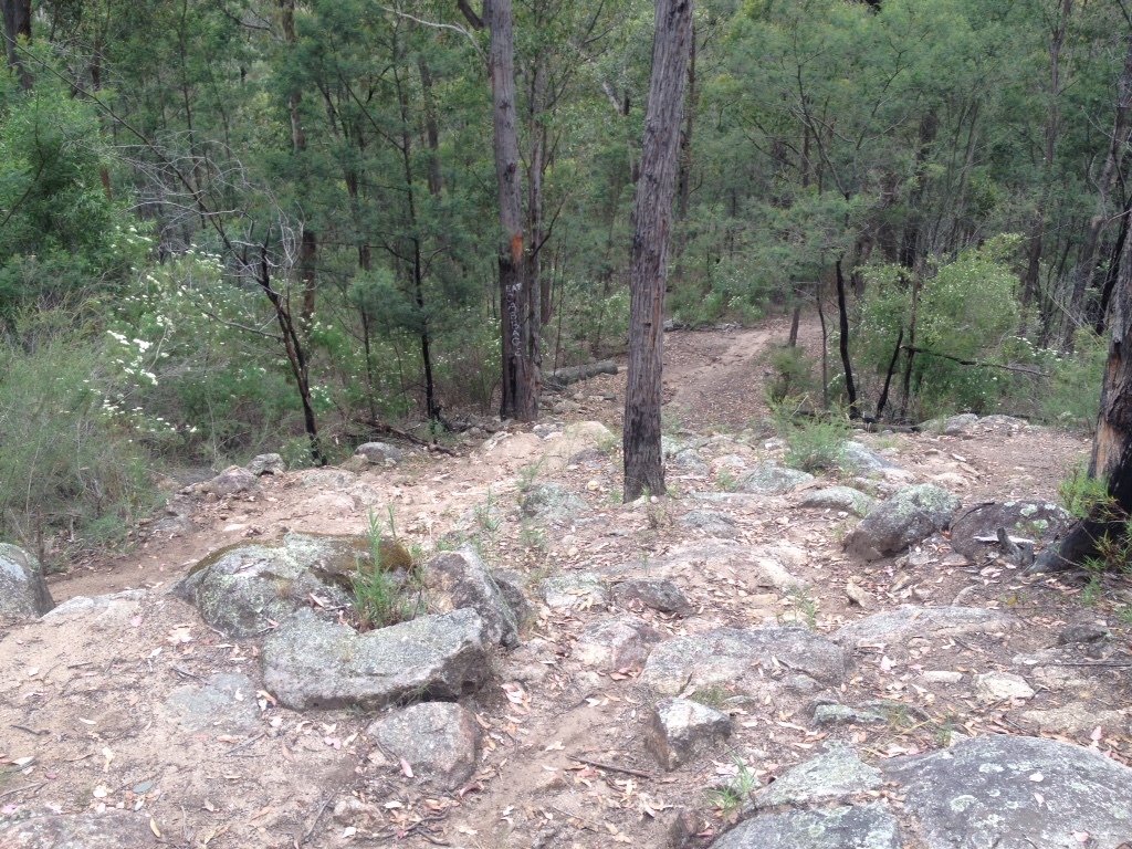Rock garden towards the end of the Mt Taylor All Mountain trail. There is also a B line to the left