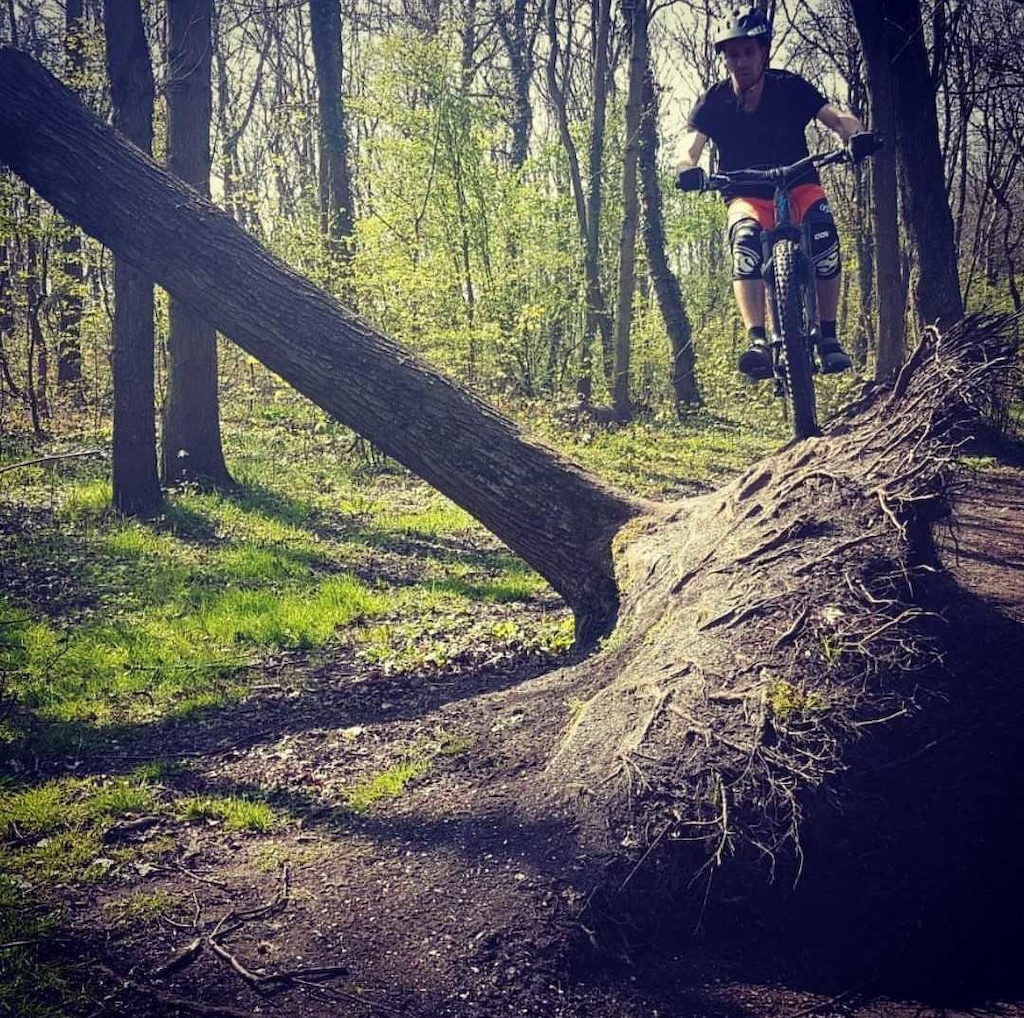 Ridin' ''the fallen tree root section'' at our local trails.