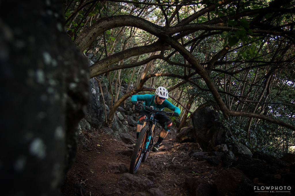 Dropping into the shade of the jungle out of the gnar on the north end of Oahu.