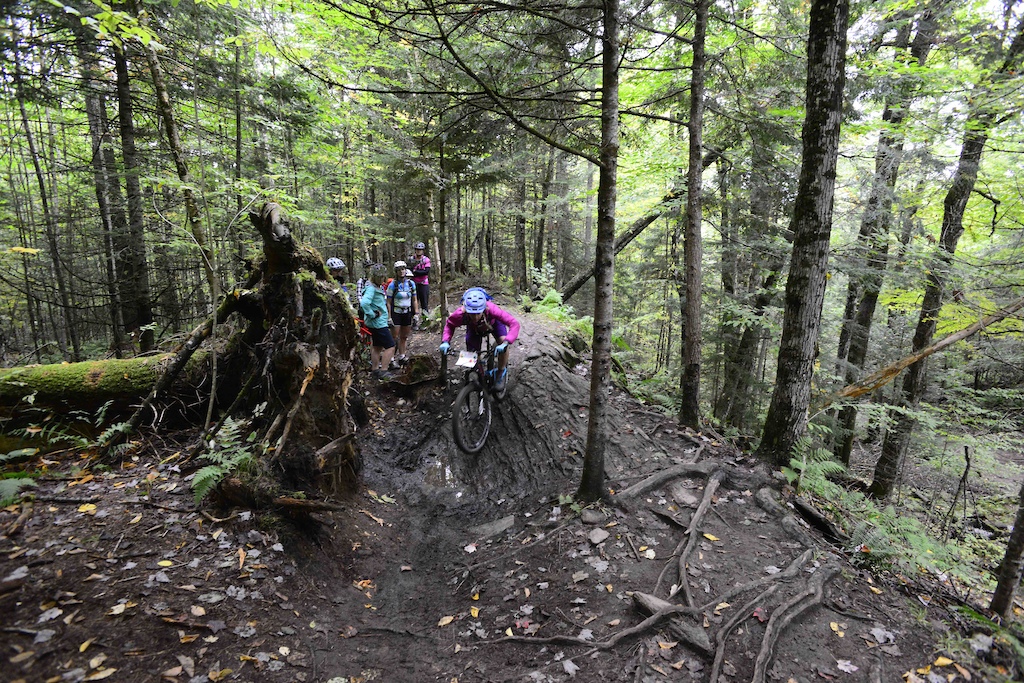 Lots of fun roots and rocks to play on in Vermont!