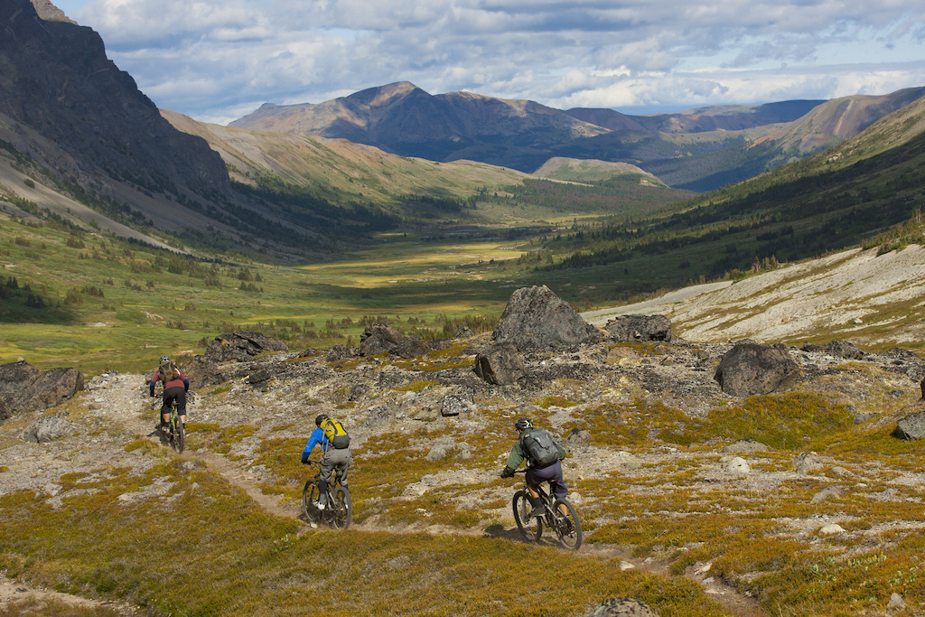 Three male mountain bikers ride a remote trail in  British Columbia, Canada.