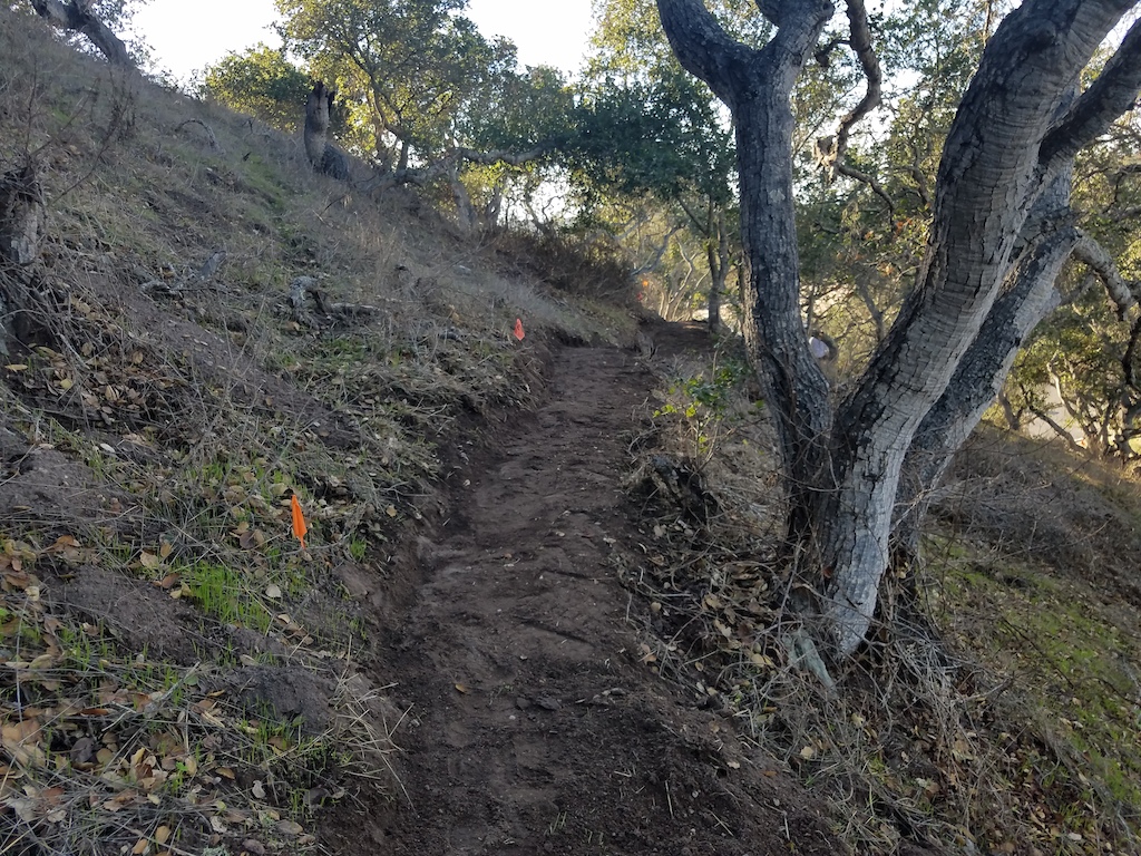 New trail segment cut today.