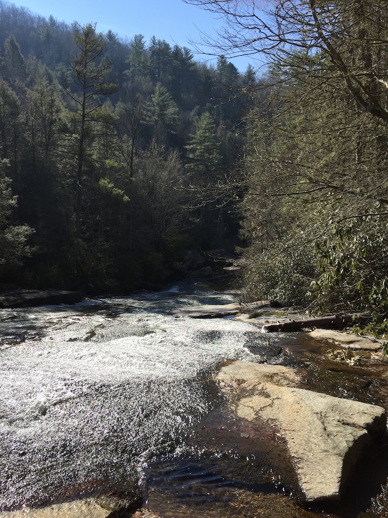 Day 1 - Grassy Creek Falls, DuPont Forest.