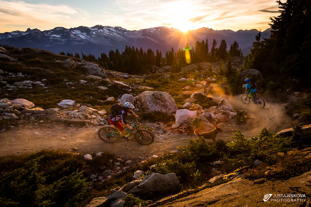 Alpine sunset ride with your best buddies and favourite dog.