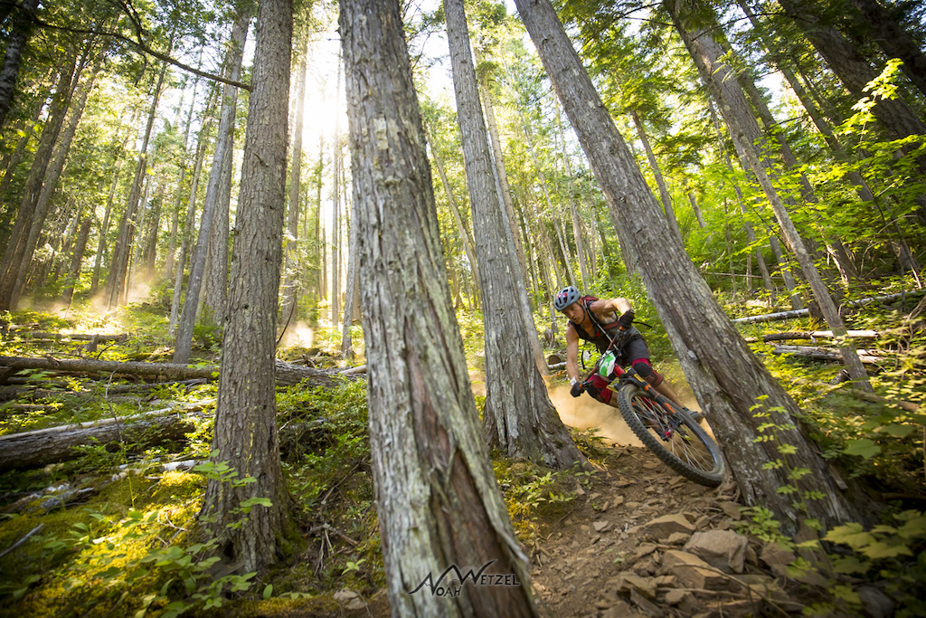 Brendon Edgar blasts through a tight corner on the final stage of Day 5 of the 2017 Trans BC Enduro in Revelstoke B.C.