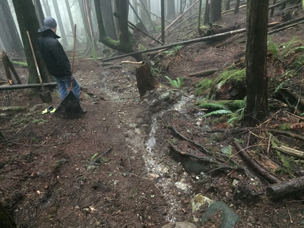 trail day- clearing trees and fixing drains