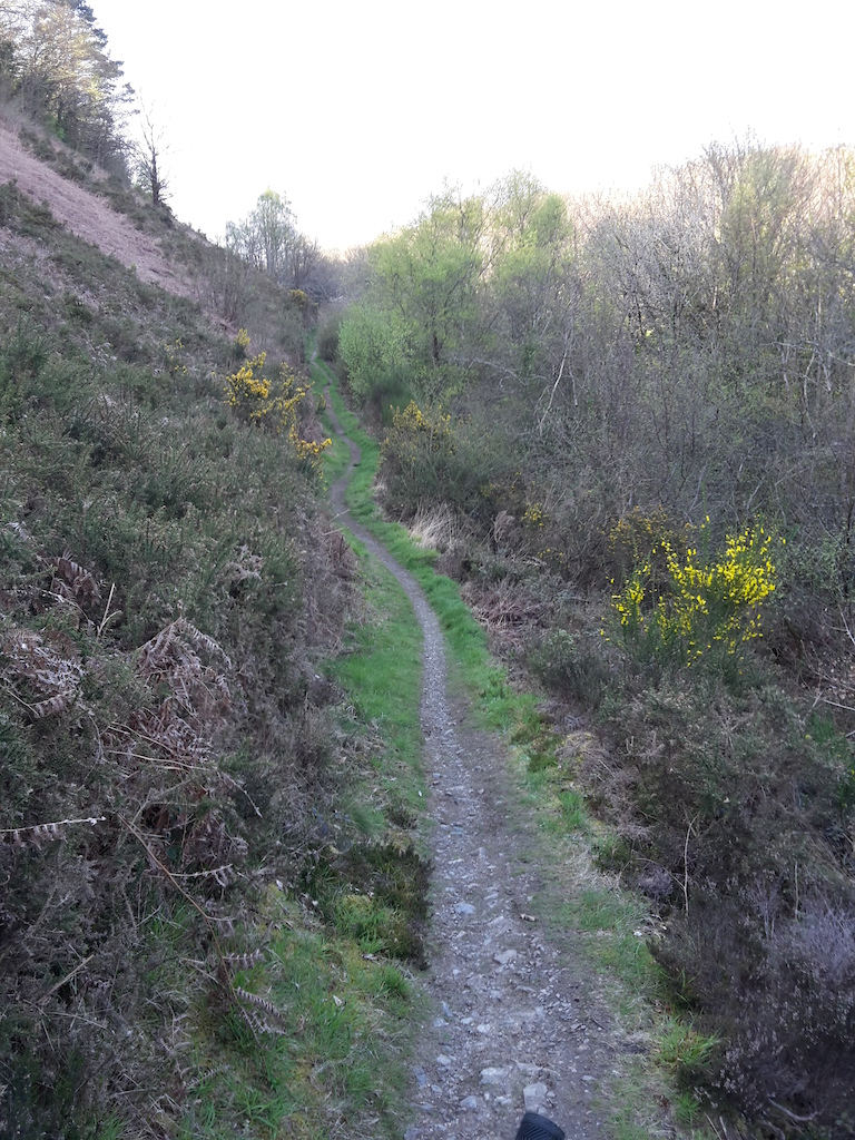 Narrow single track, nice swooping path this