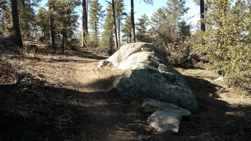 Rock roller option along Tatonka near the east end of the trail.