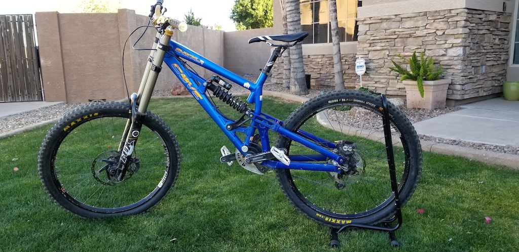 2010 Cove Shocker