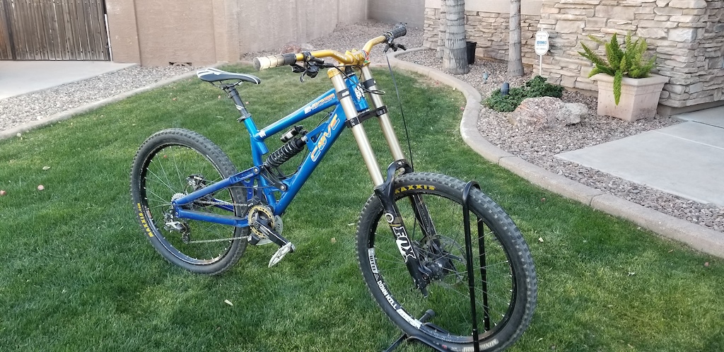 2010 Cove Shocker