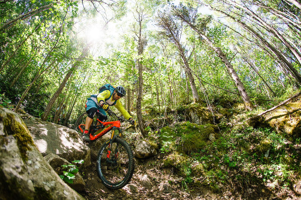 Photo Matt Wragg