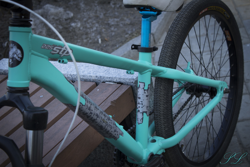 Custom painted 24 inches STP 225, for young riders)