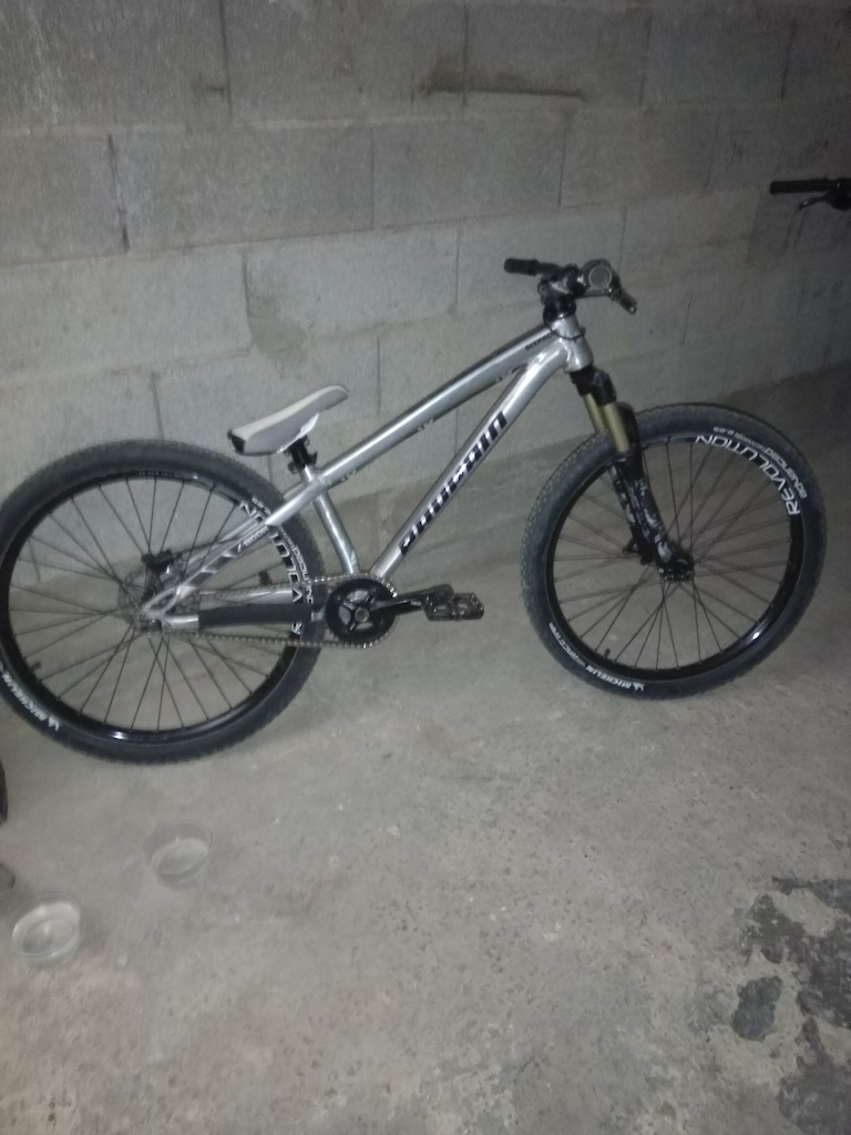 propain 4bidden 2017 frame long size