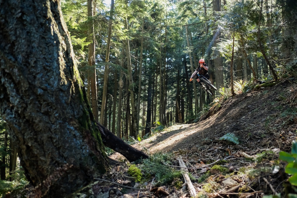 Photo By Lincoln Humphry.
Insta: @trailstagram

Rider: Forrest Montgomery
Insta: @forrestinthetrees