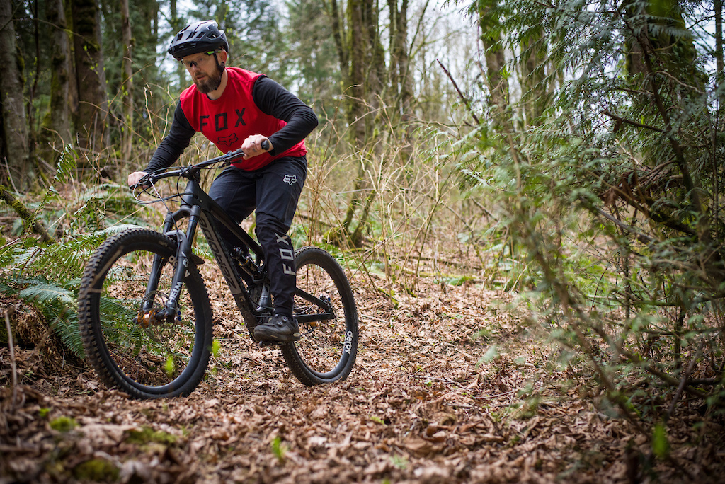 Should the Derailleur Die? Zerode's Gearbox-Equipped Taniwha - Review ...