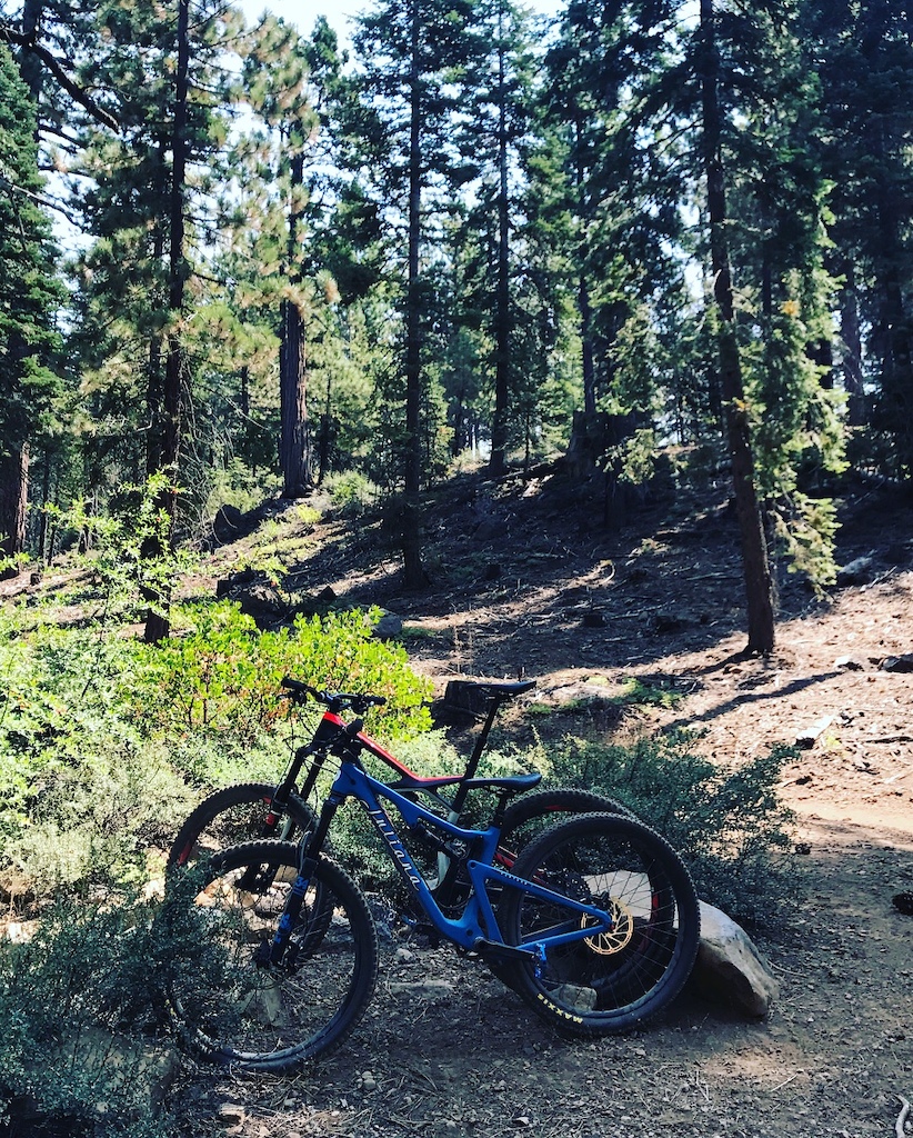 santa cruz juliana furtado