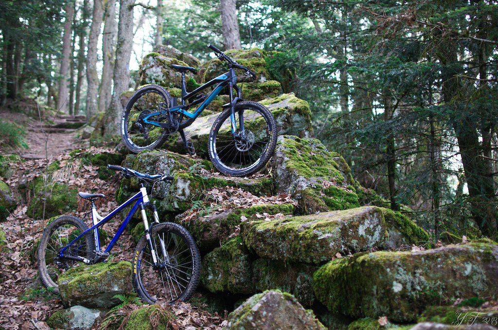 YT Capra and PP Shan