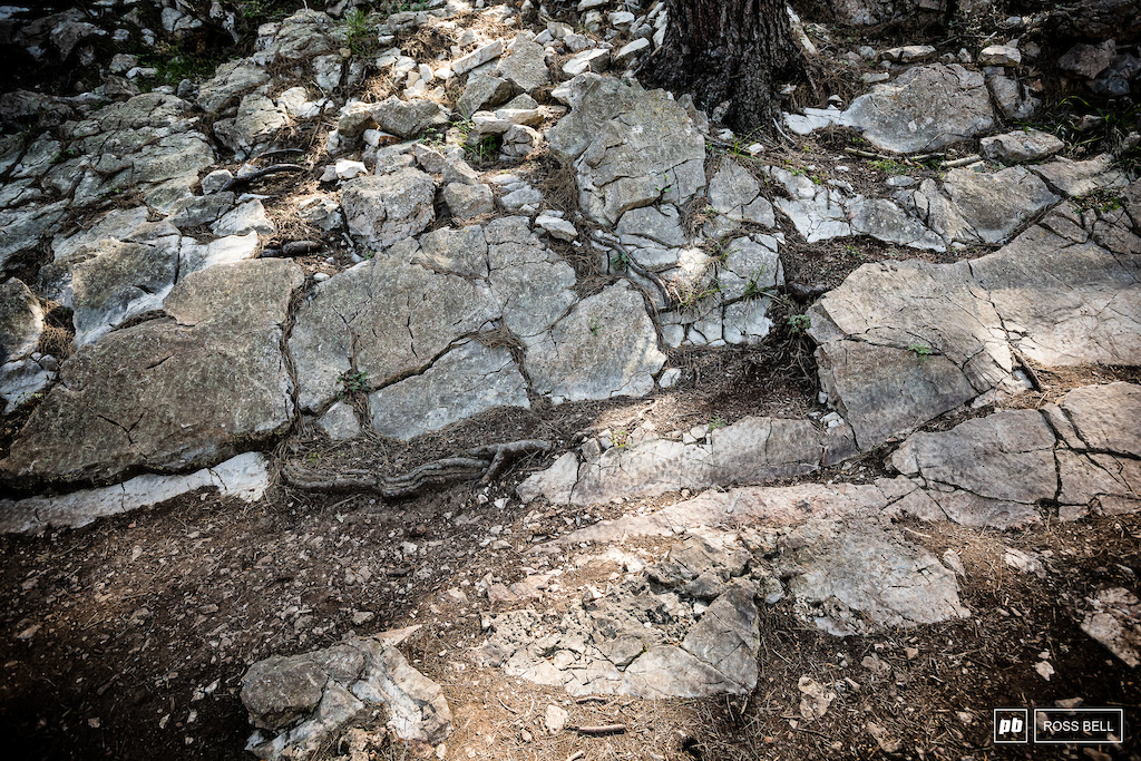The trail surface is varied, the rocks are razor sharp in places and smooth slab in others.