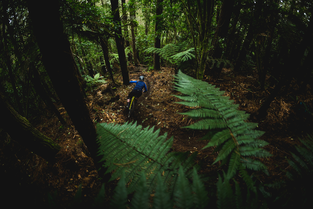 Shania Rawson ripping turns beneath the ferns of the Whakarewarewa Forest / April 2018