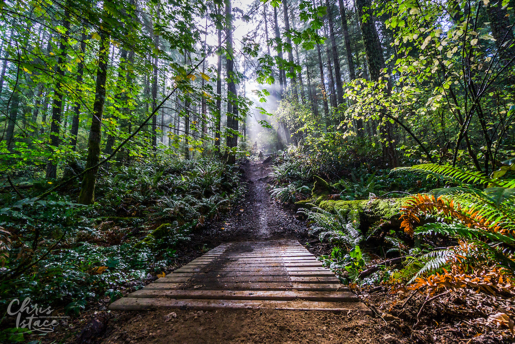 Trail Build day with the Cowichan Trail Stewardship Society on DoubleD, Mount Tzouhalem in the Cowichan Valley. Fall 2016