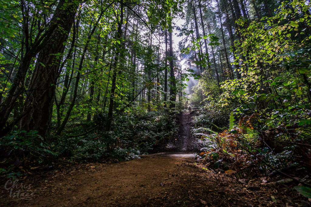 Trail Build day with the Cowichan Trail Stewardship Society on DoubleD, Mount Tzouhalem in the Cowichan Valley. Fall 2016