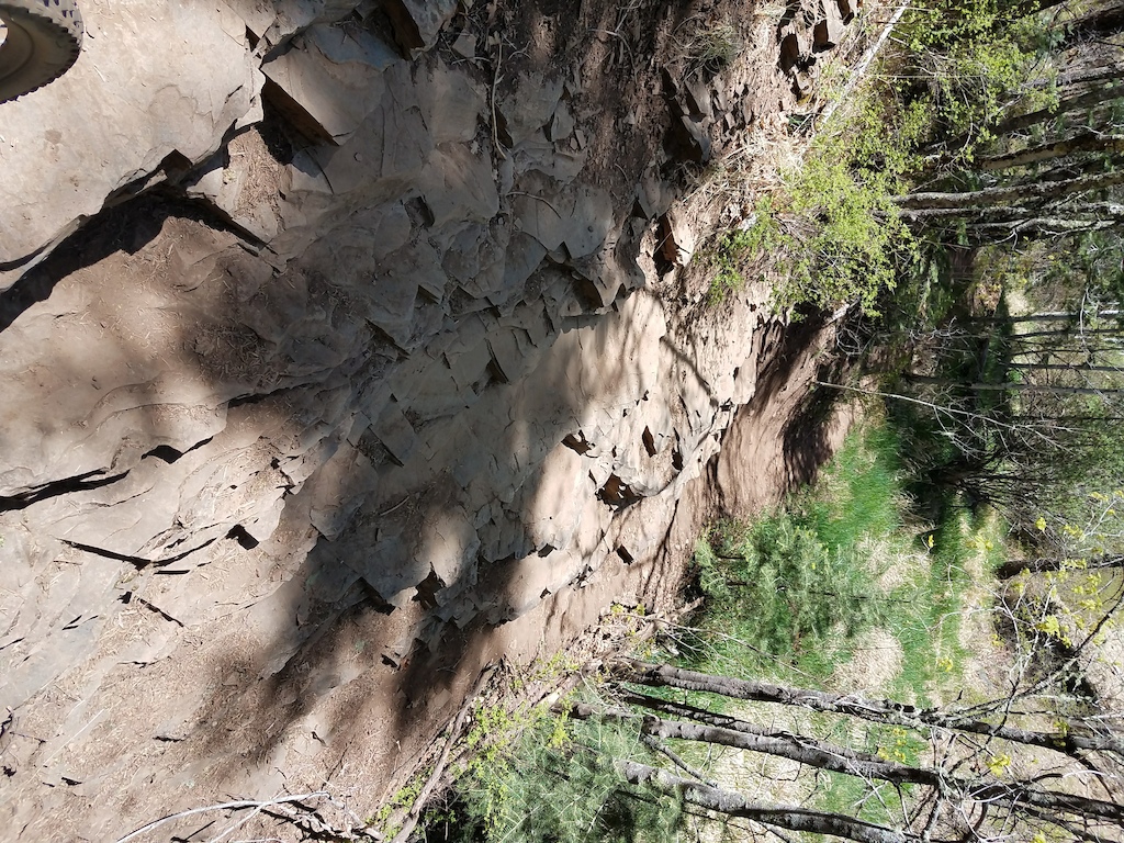 Biggest feature on the trail, a series of rock ledges towards the bottom of the trail