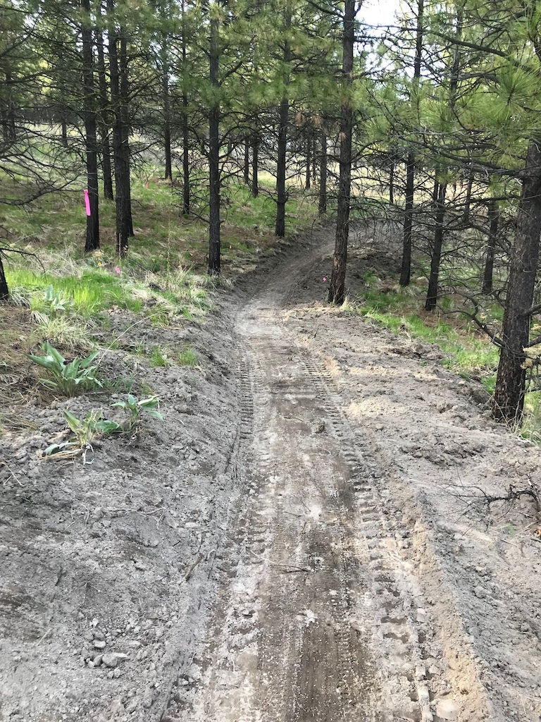 New Trail under construction May 2018