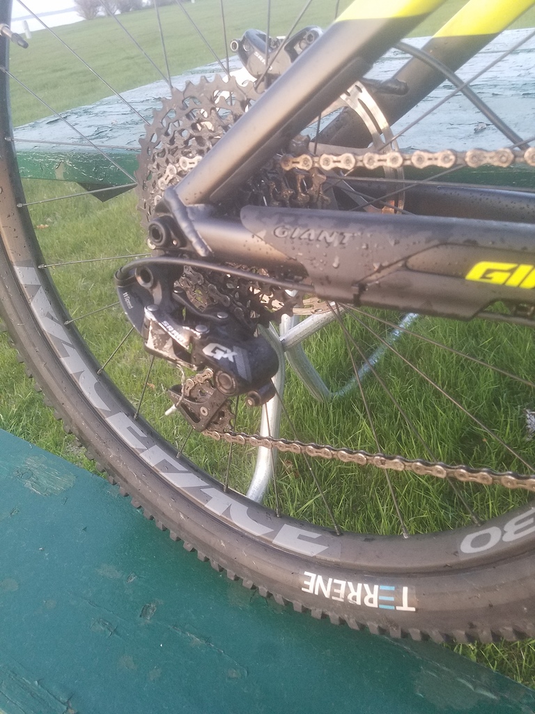 2017 Giant Reign SX