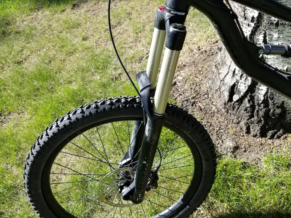 paint mtb fork