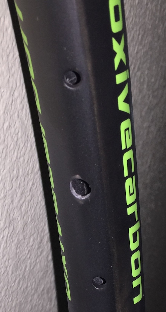 Oxive carbon 29er rims.  Spoke holes appear to be painted/coated.
