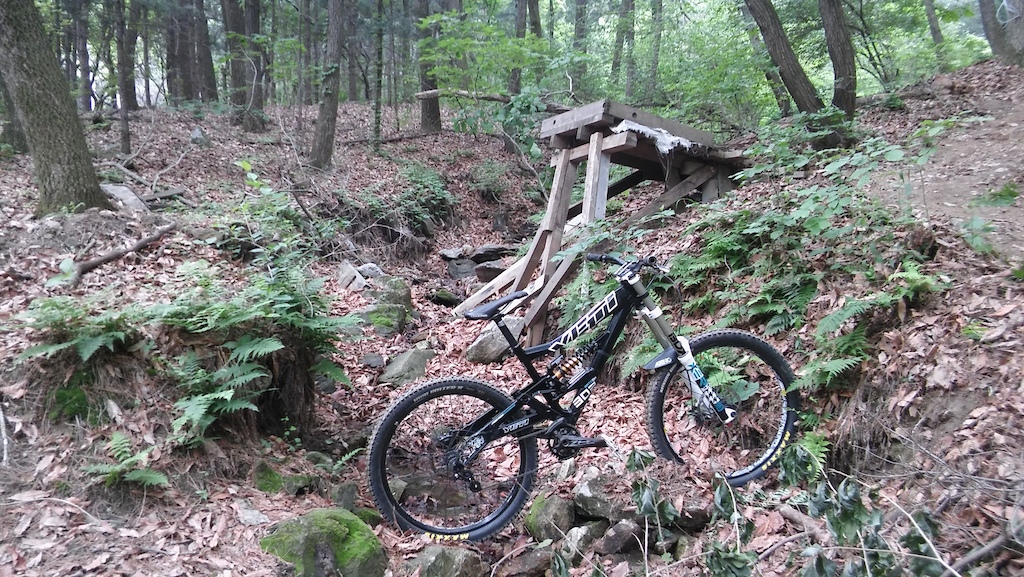 Last ride on the squishy single speed on my local dh trails in Cheonan, Korea before packing this bike up for the move to Japan.