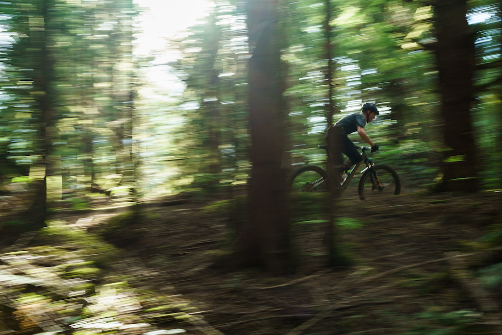Orbea Rallon