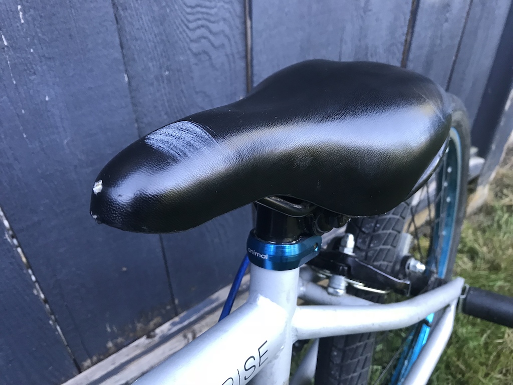 Animal seat post clamp and scuff on saddle