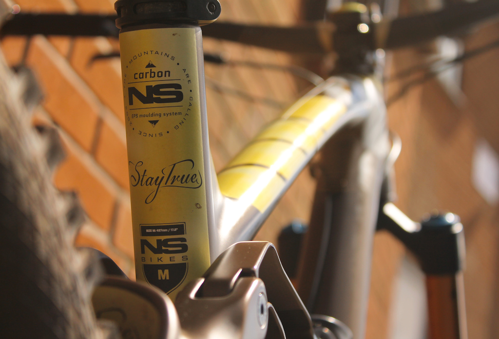 A touch of class on the back of the frame's seat tube.